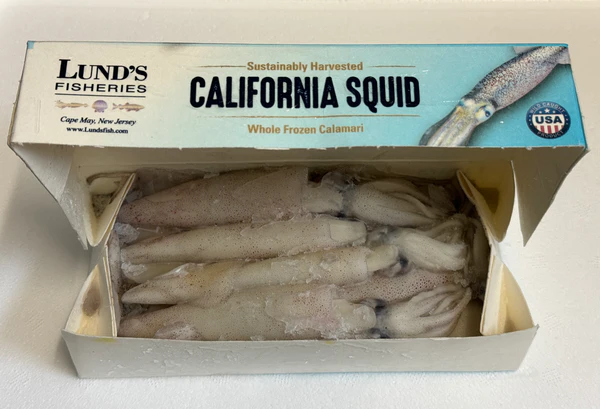 USA SQUID